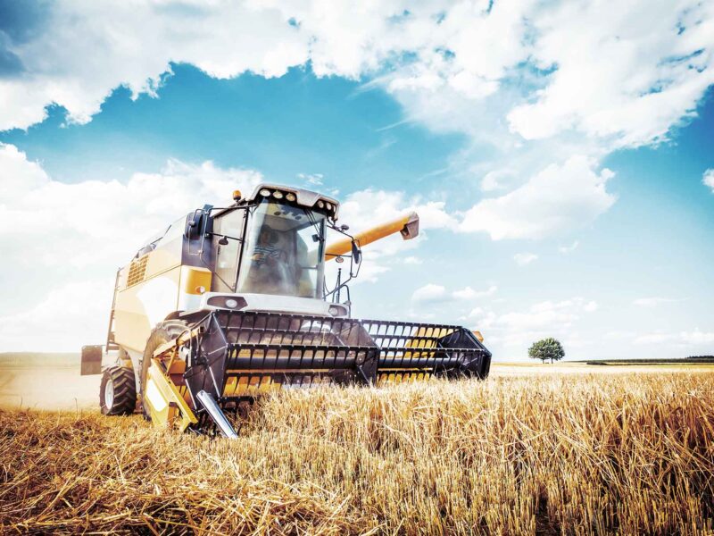 Mähdrescher auf dem Feld