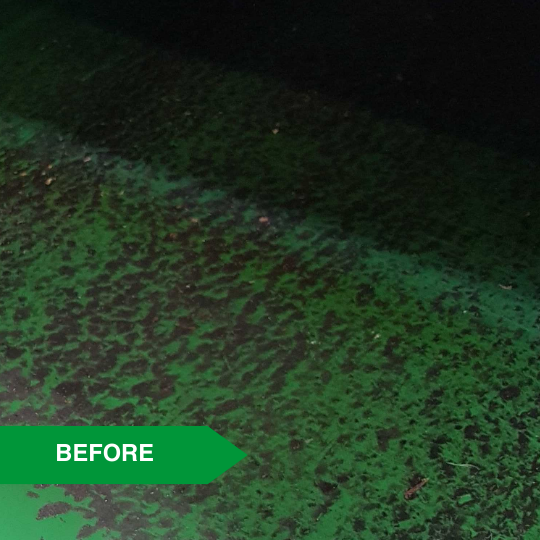 Adhesives - Adhesives on a conveyor belt