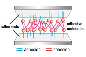 Abbildung Klebstoffmoleküle